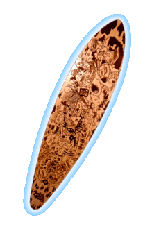 Gravur auf Holz
